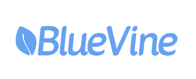 bluevine kisvállalkozói hitelek