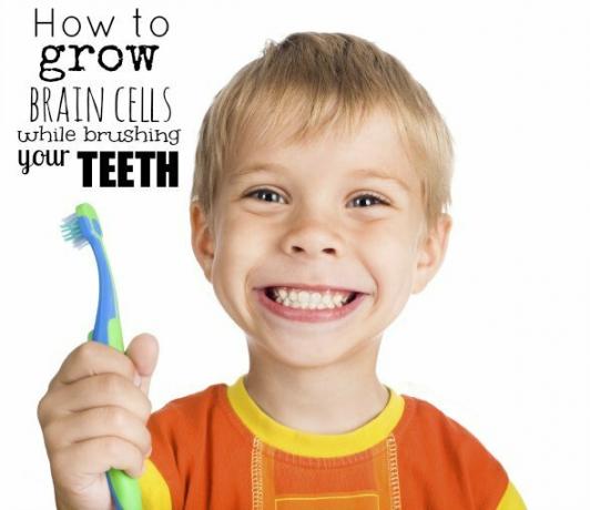 Kuidas kasvatada ajurakke hammaste harjamise ajal